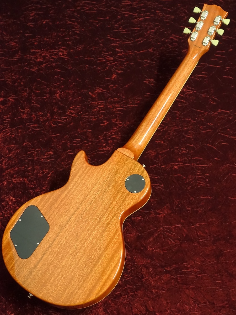 Tokai LS-101F LD（新品/送料無料）【楽器検索デジマート】