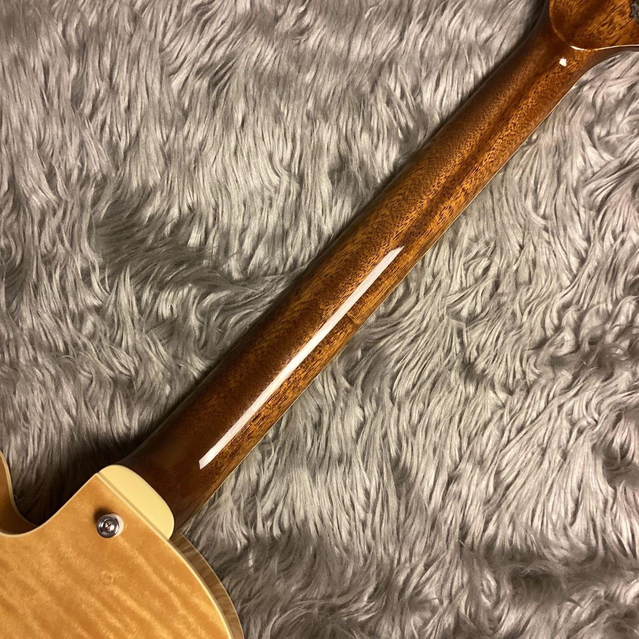 Rozeo Ladybug Ladybug-CB HB/SS/Vintage Amber【中古品】【現物画像