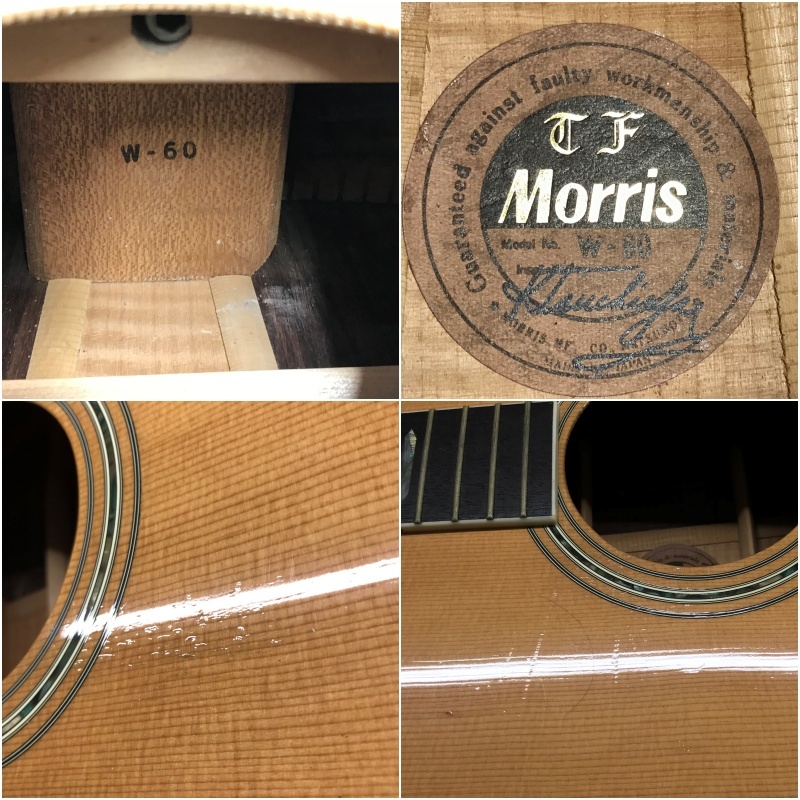 Morris W-60（中古）［デジマートSALE］【楽器検索デジマート】