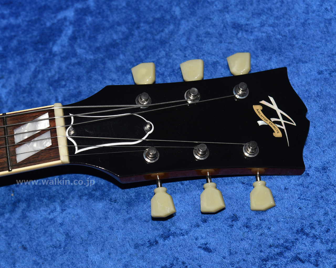 Archtop Tribute AT205MD（新品）【楽器検索デジマート】