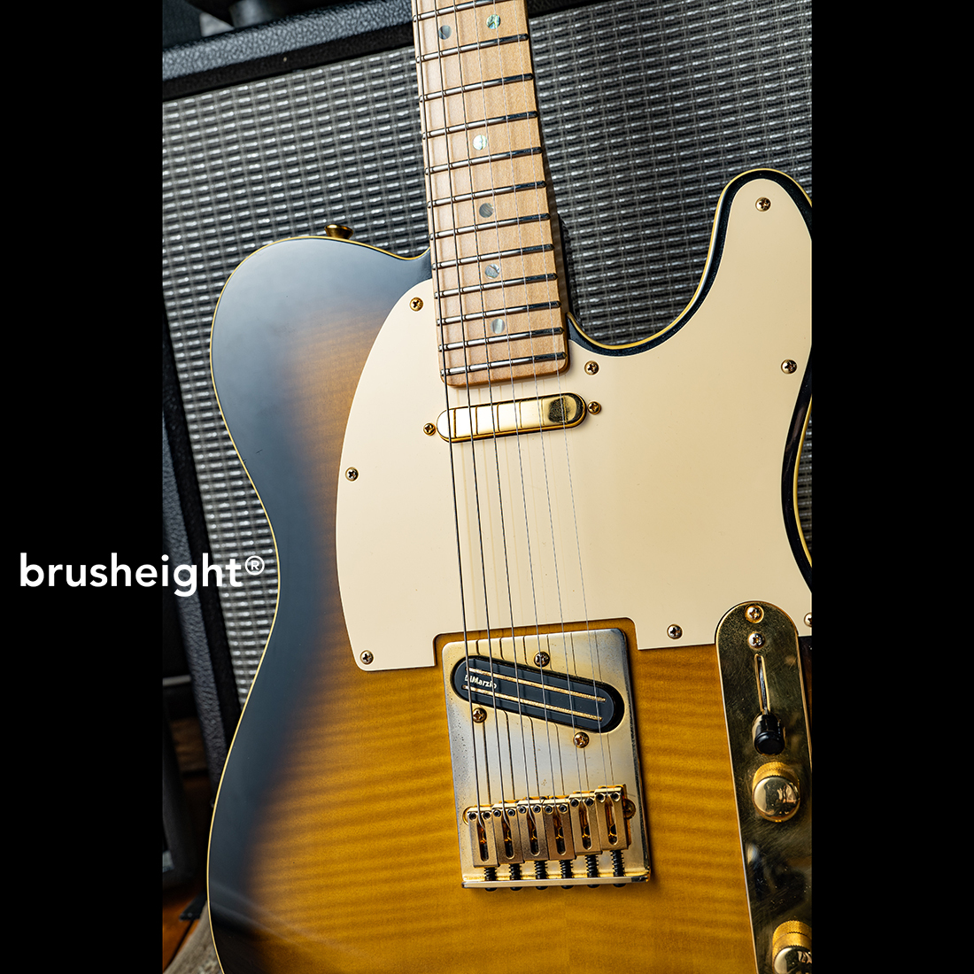 Fender Japan Fender Japan Richie Kotzen Model TLR-145RK 