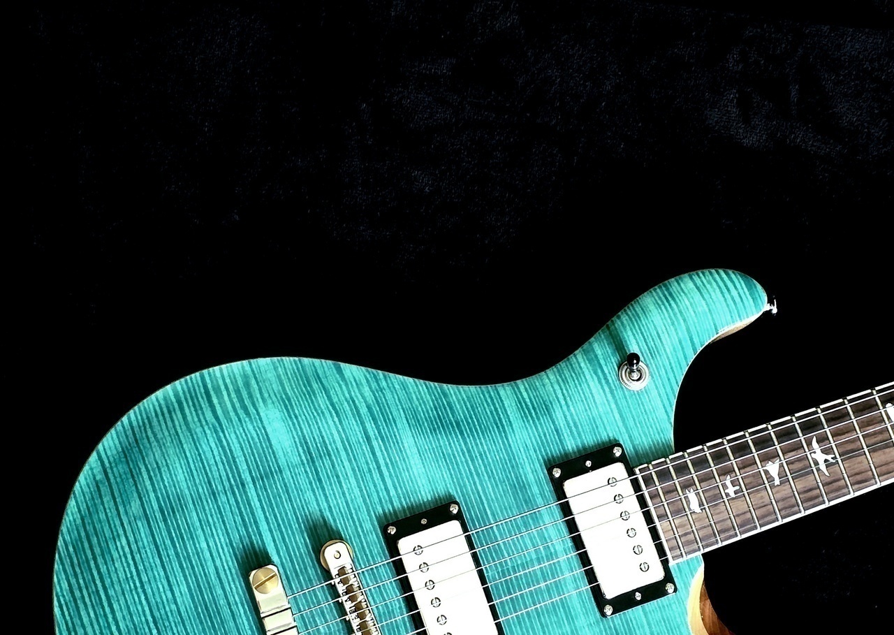 Paul Reed Smith(PRS) SE McCarty 594 （中古）【楽器検索デジマート】