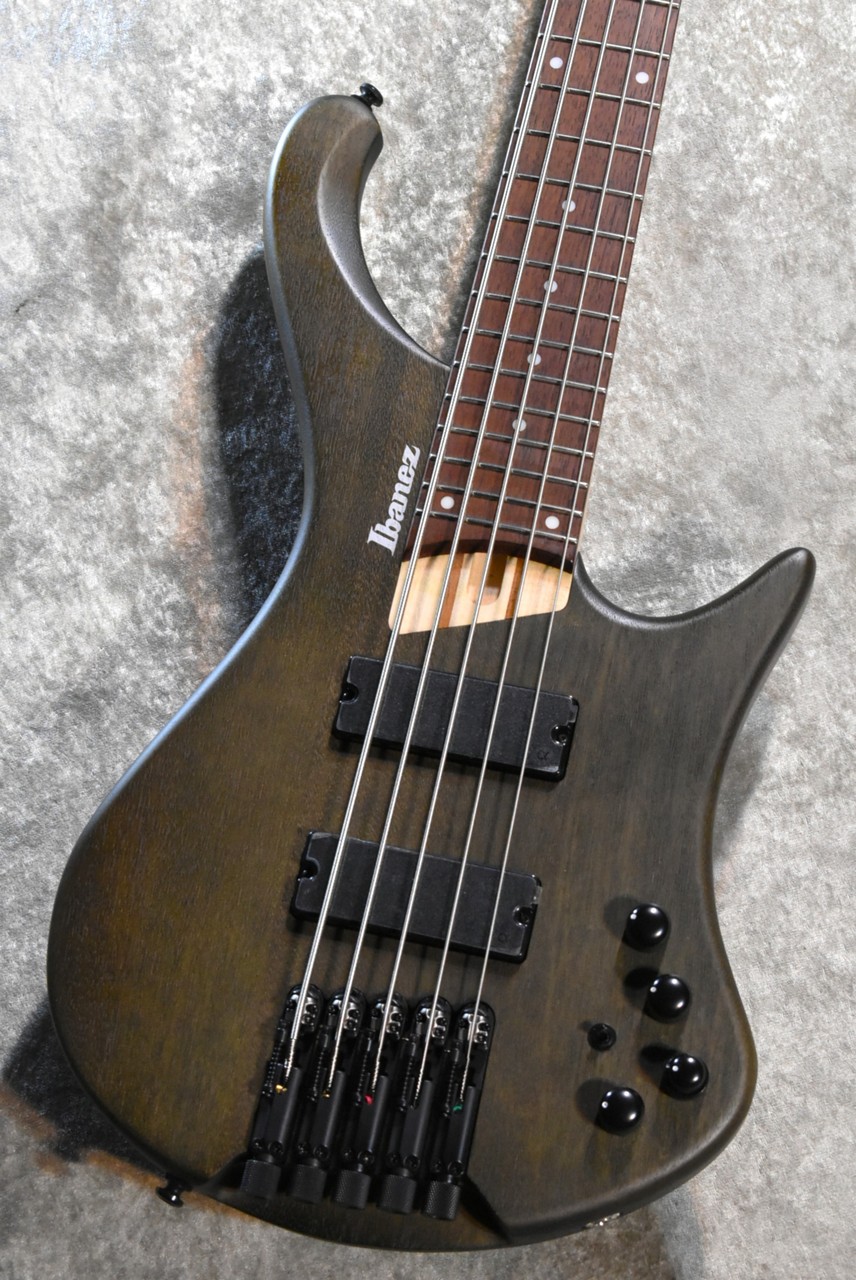 Ibanez EHB605 -WNF #I 260505027【軽量3.41kg】Walnut Flat【5弦