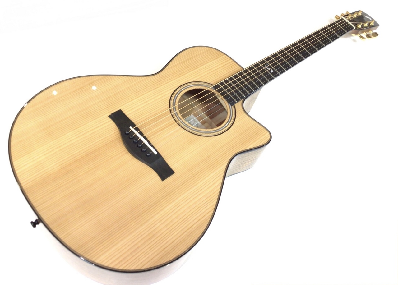 期間限定特価・モーリス＜S-20＞トップ単板 Morris - モーリス Forest