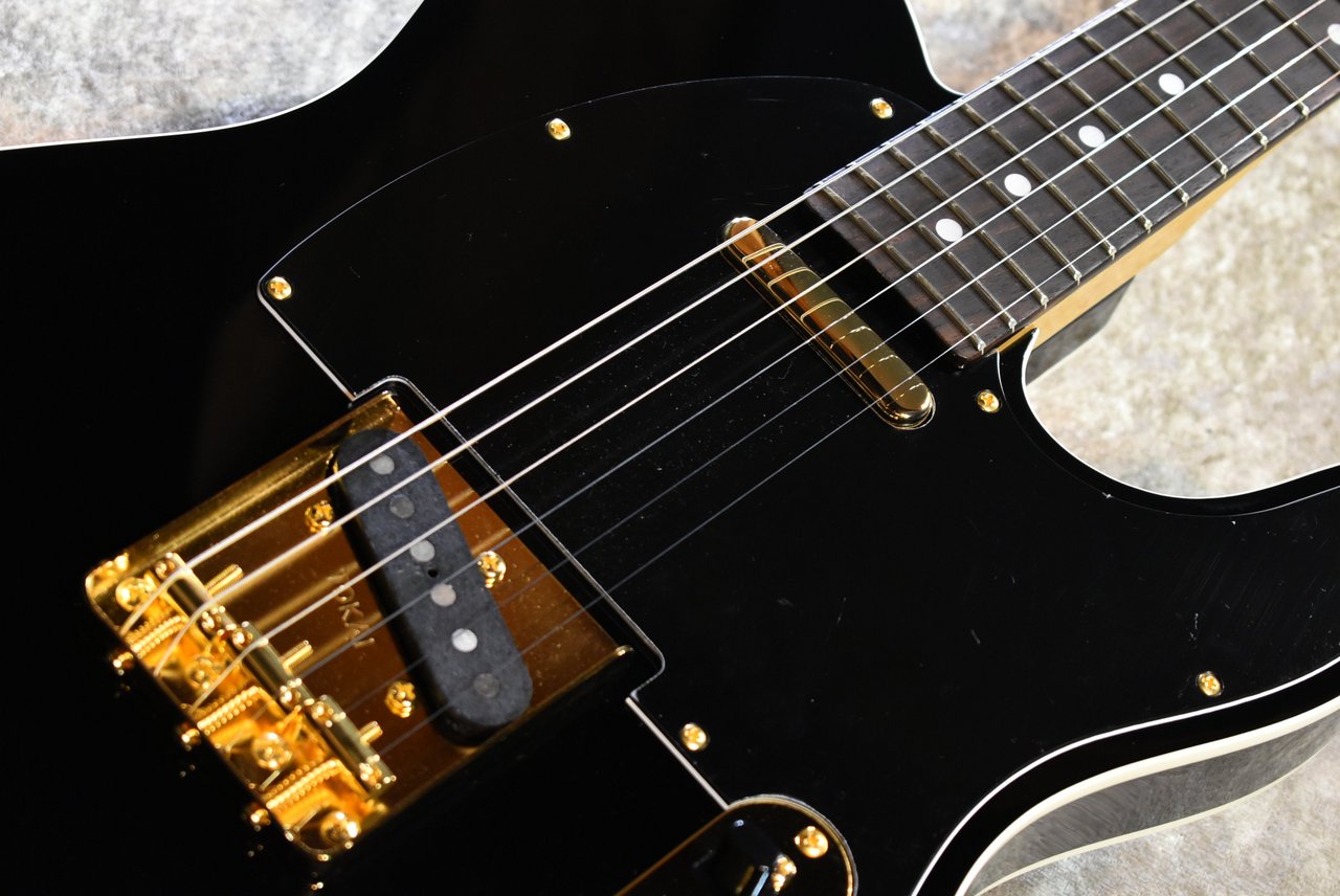 Tokai ATE-101B/G BBR #250234【待望の入荷、3.76kg】（新品）【楽器