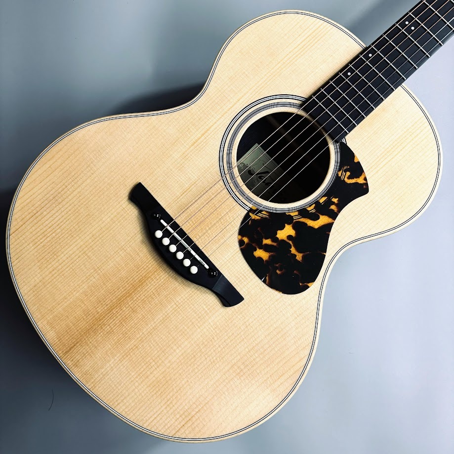 James⭐️J-300A アコースティックギター 純正ケース付 Amazon | James J-300A NAT(ナチュラル) アコースティックギター