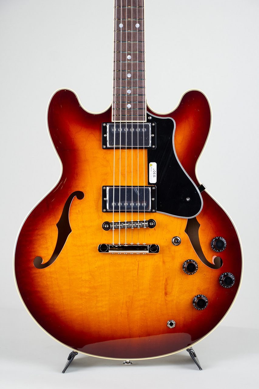 FUJIGEN(FGN) Masterfield MSA-HP/Antique Sunburst【S/N D260347