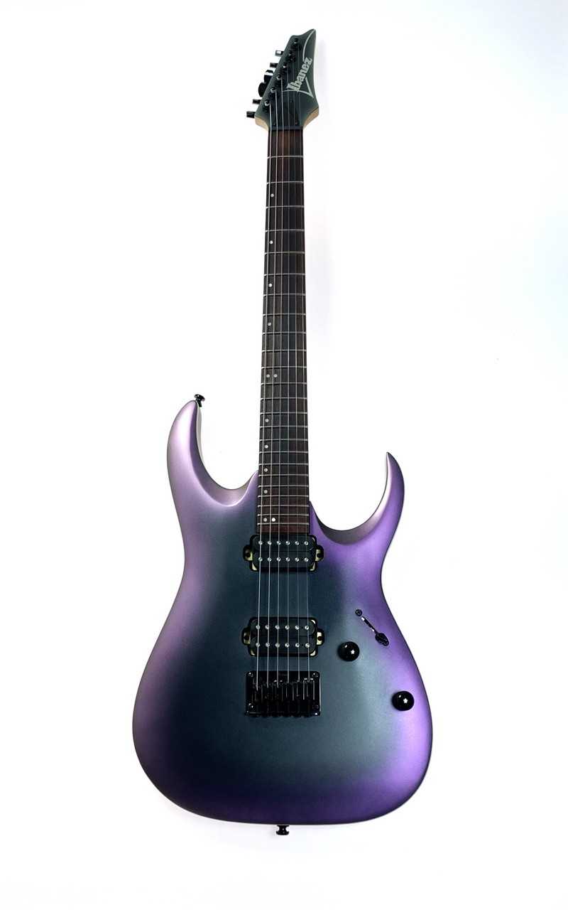 Ibanez RGA42T 本体のみ 2025年最新】Ibanez RGA42の人気アイテム - メルカリ