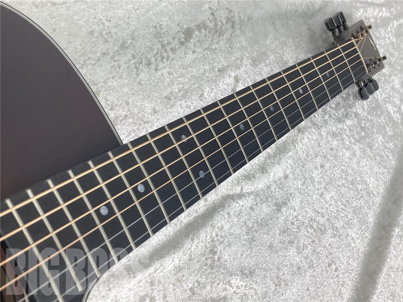 Morris R-14 ブラウン・サンバースト(BS)（新品/送料無料