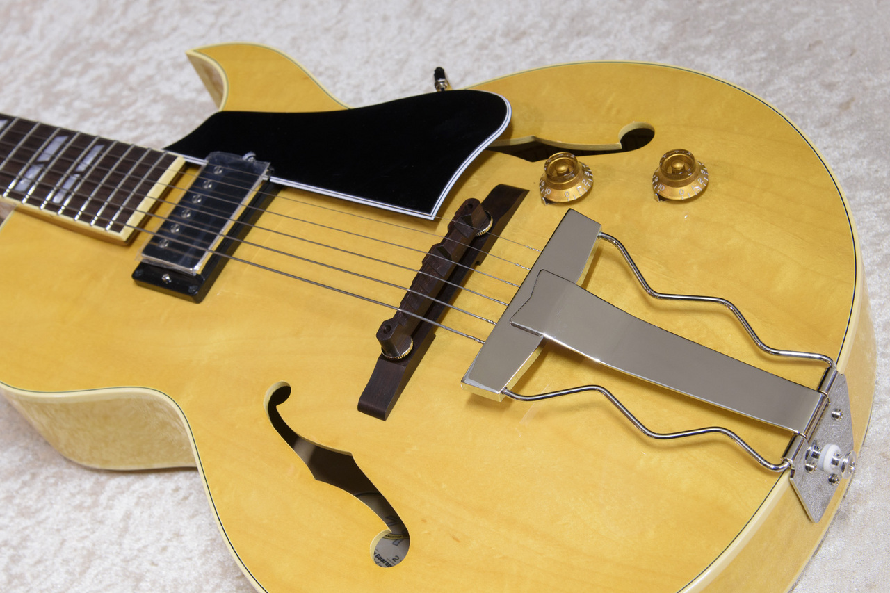 Archtop Tribute AT105 Jr.（新品）【楽器検索デジマート】