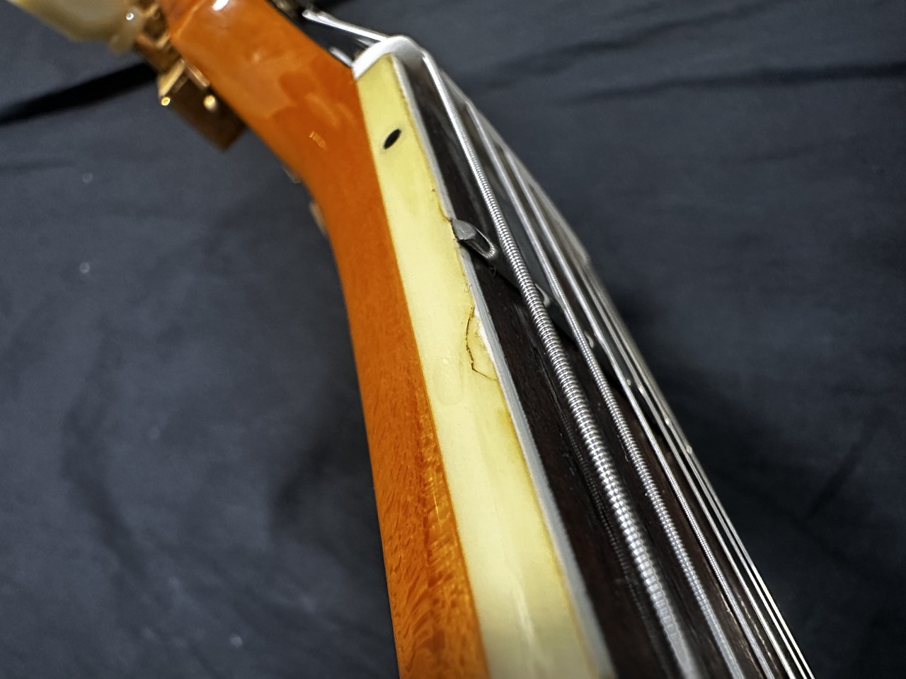 Burny RFA-65(バーニー フルアコ)（中古）【楽器検索デジマート】