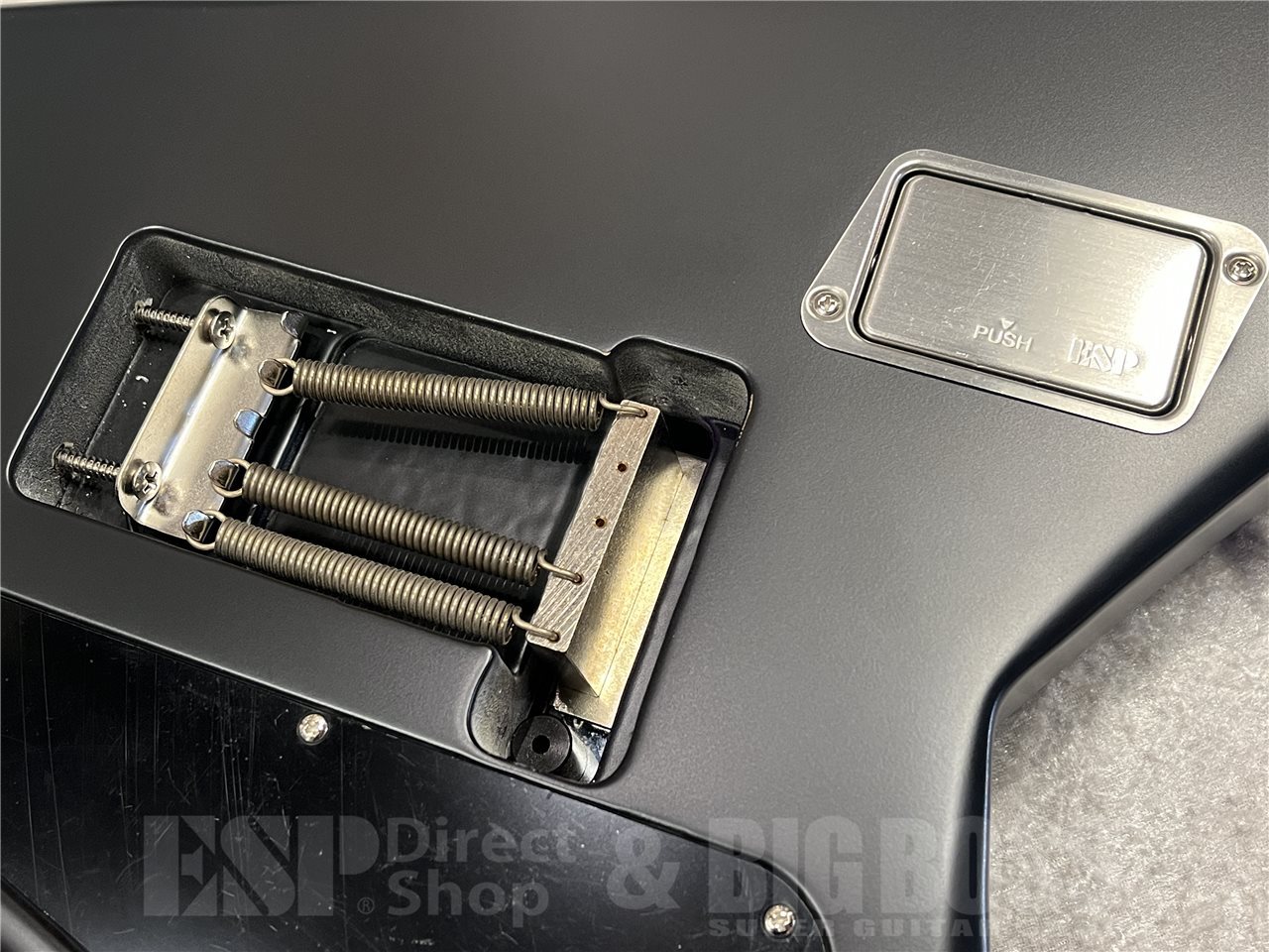 レア楽器　シャズセン　ダブルボディ　細棹 MJS1-LTD/R #17200 | Deviser ｜株式会社ディバイザー｜長野県