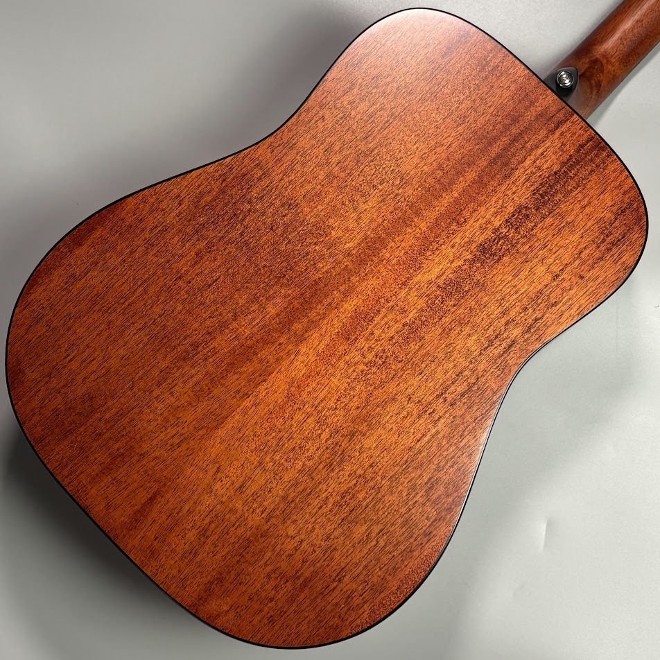 Cort CAG-1D アコースティックギター CAG-1D Cort コラボレーション商品 | 島村楽器