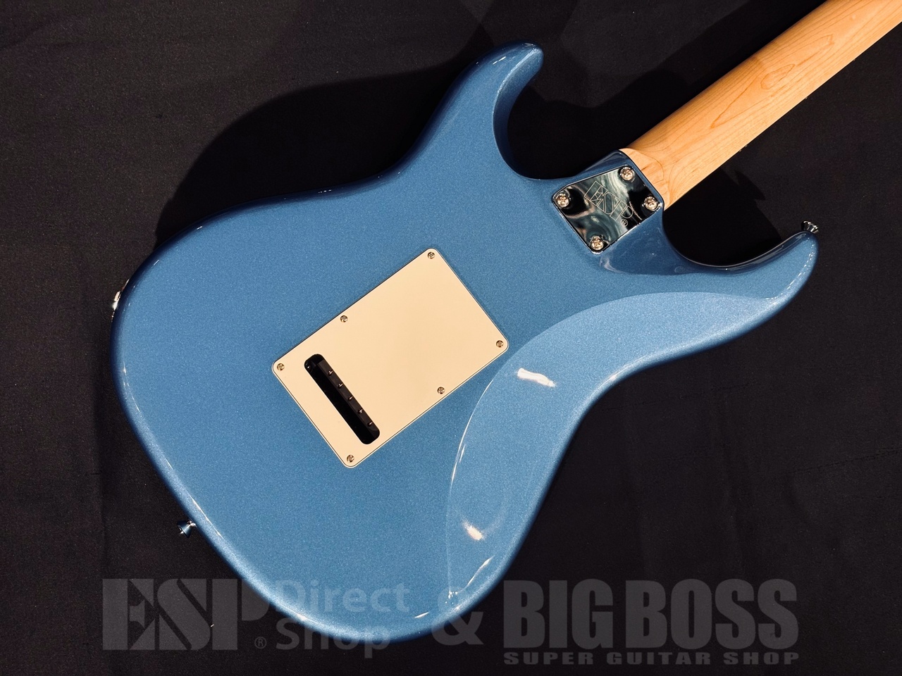 EDWARDS E-SNAPPER-AL/R Lake Placid Blue（新品/送料無料