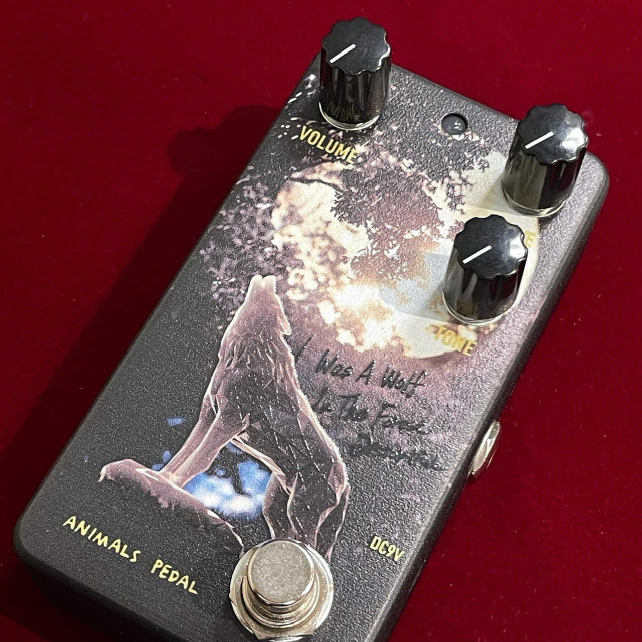 Animals Pedal 036 I Was A Wolf In The Forest Distortion by 朝倉 涼