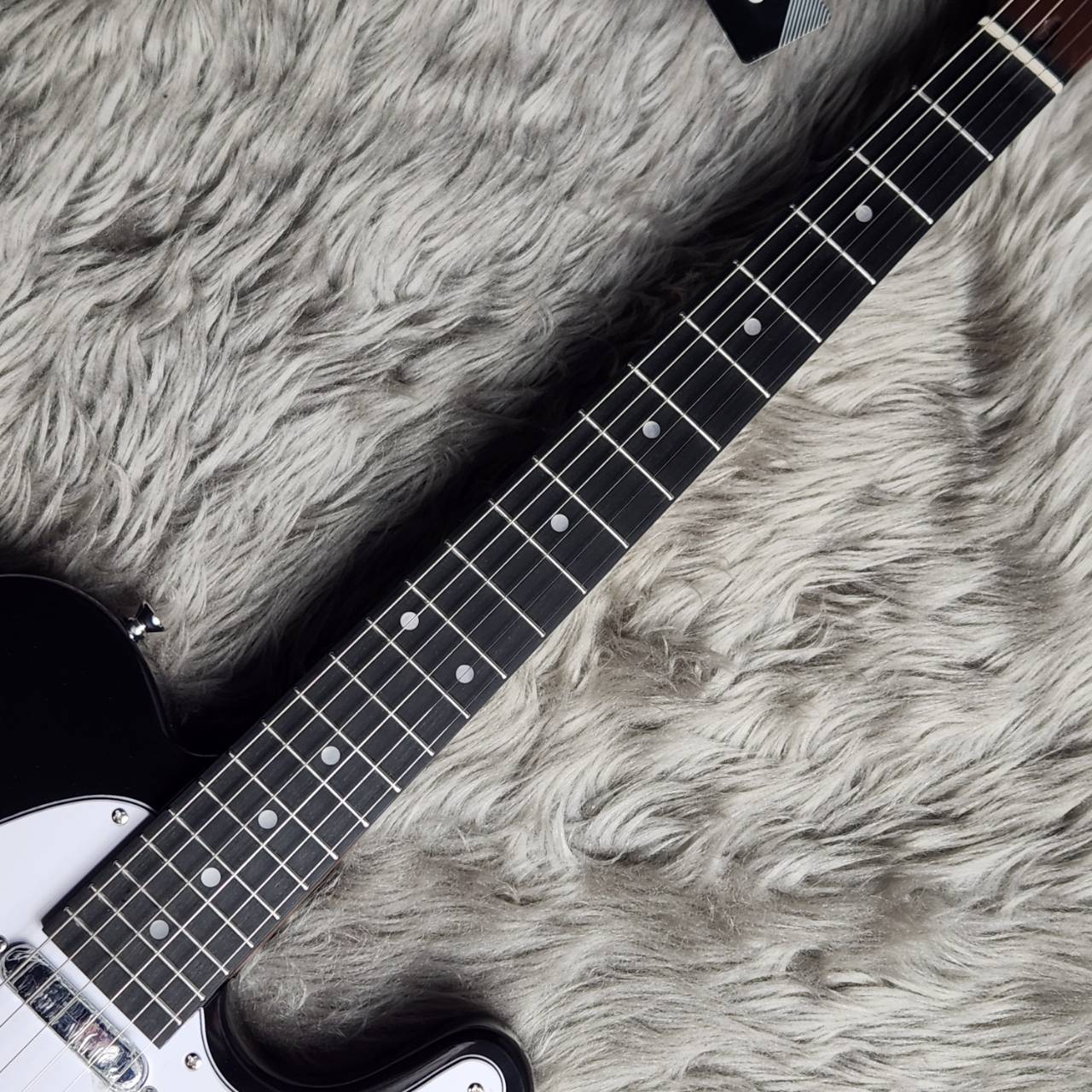 BUSKER'S BTL-Standard BLK テレキャスタータイプ（新品/送料無料