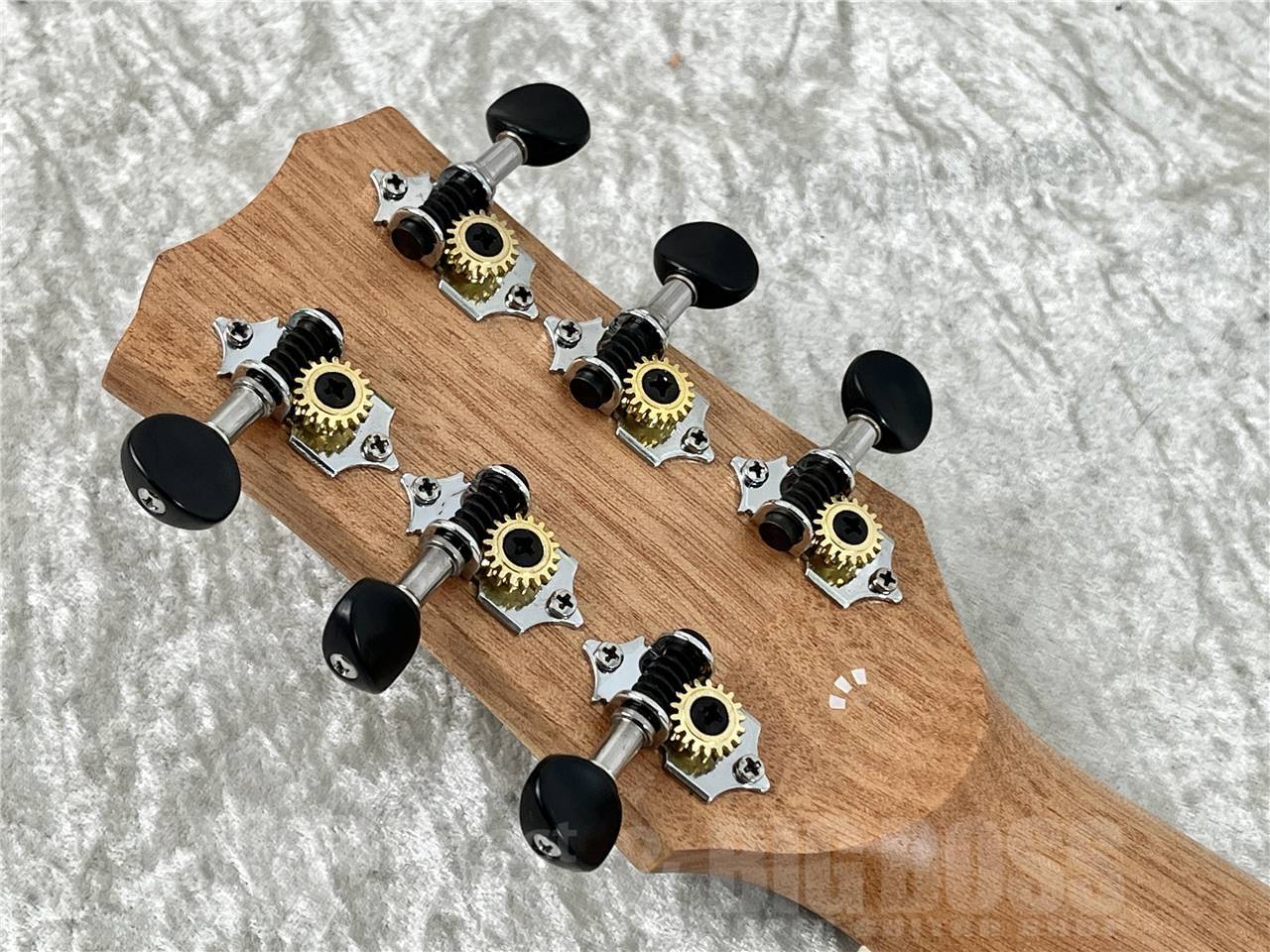 Cordoba MINI II MAHO（新品/送料無料）【楽器検索デジマート】