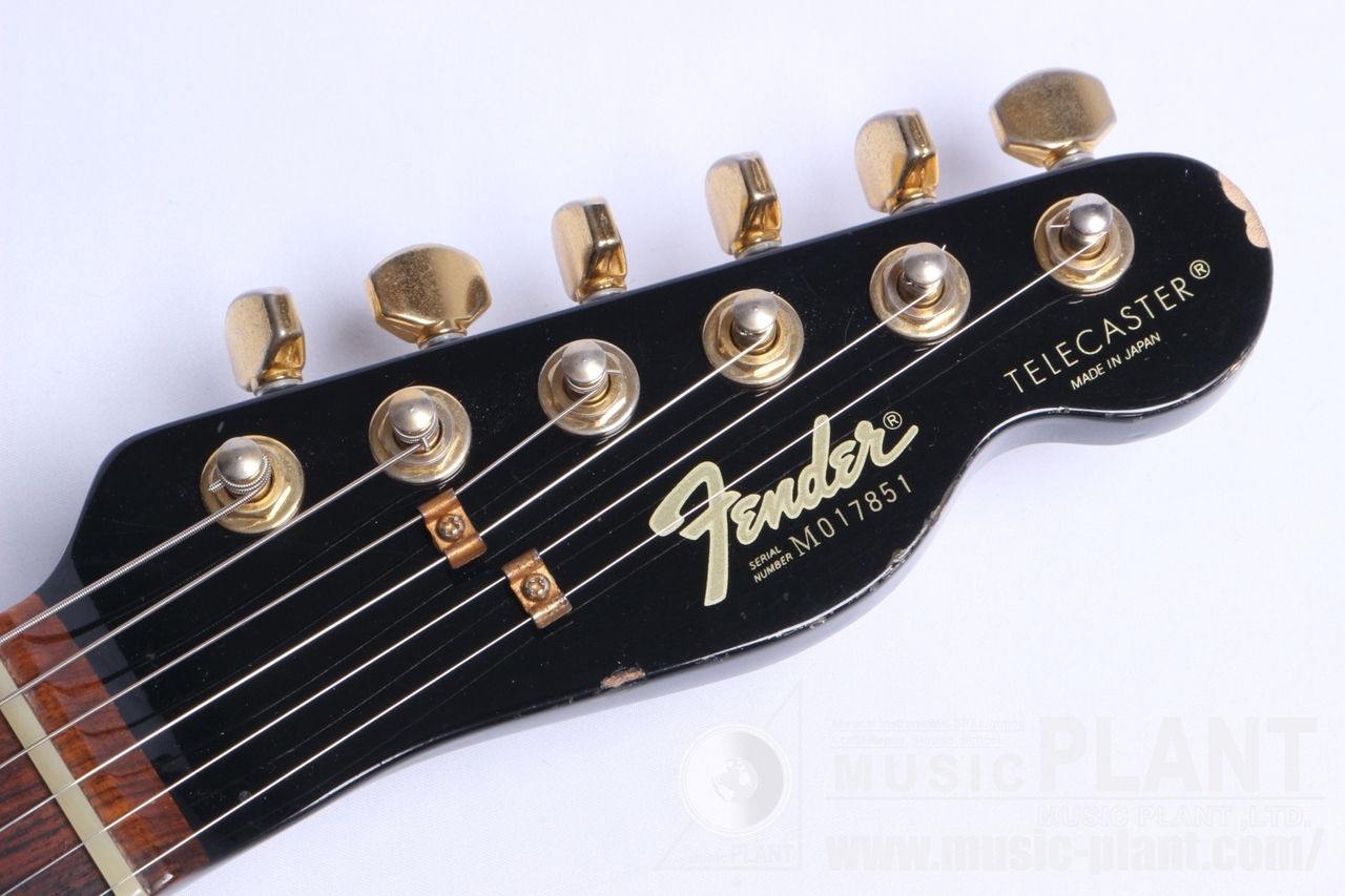 Fender Japan TLG80-55（中古/送料無料）【楽器検索デジマート】
