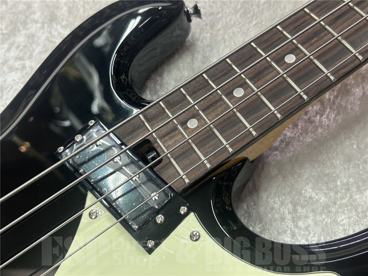 Aria Pro II DMB-206 (Black)（新品/送料無料）【楽器検索デジマート】