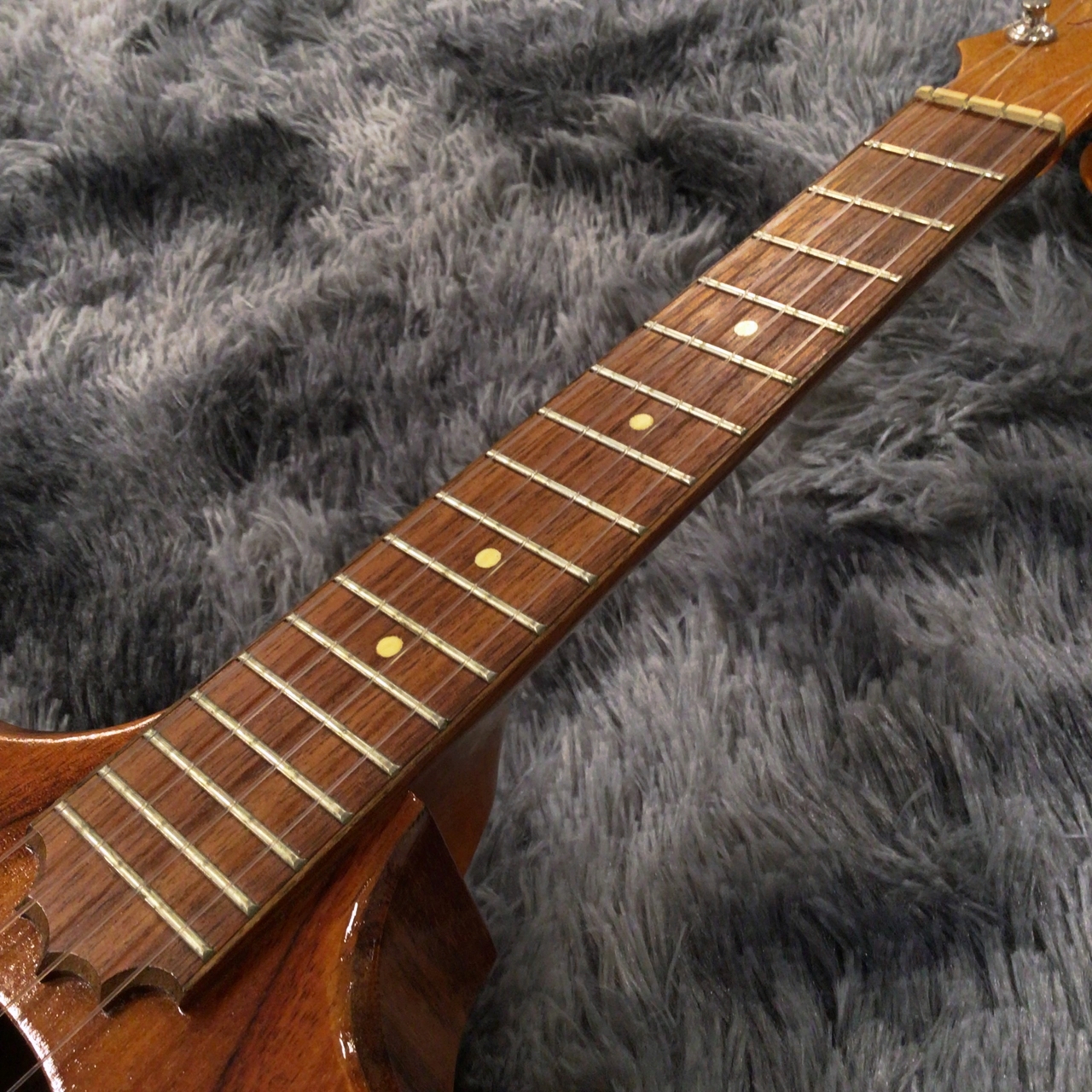 Koaloha Sceptre KCS-07 Concert 【中古品】【特注ハードケース&Protec