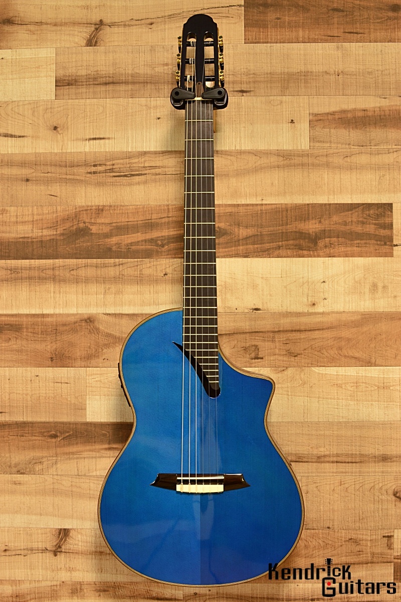 Martinez MSCC-14 RSエレガットギター 限界点値下げ中！ 話題のエレガット！マルチネスMSCC-14/RS入荷いたしました
