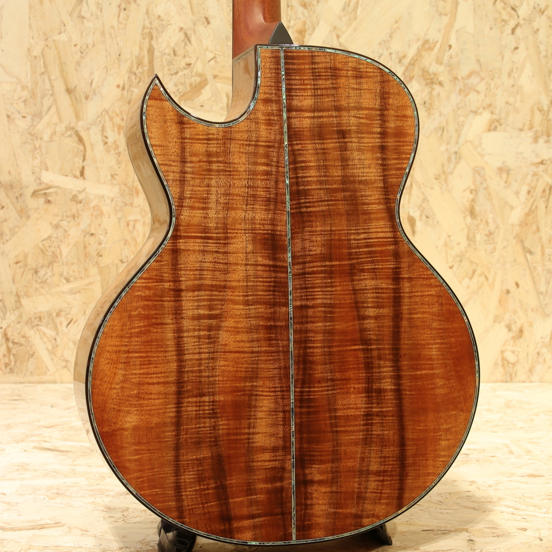 AYERS SJ09-C Tree of Life Select 5A KOA 3.0 2023（中古）【楽器検索
