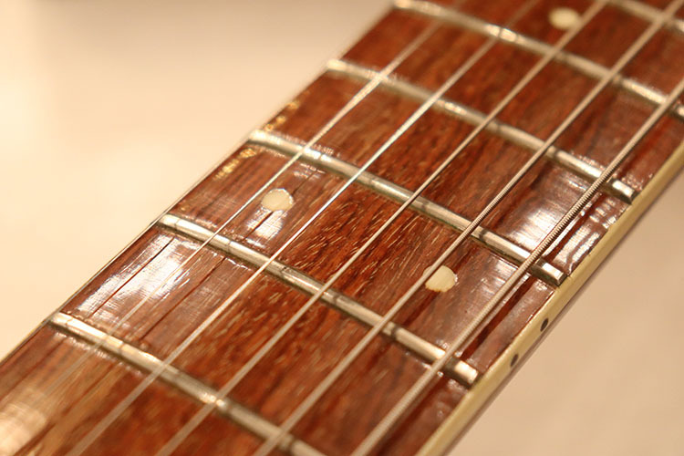 レアなタキシードカラーのノンブランド リッケンモデル 楽天市場