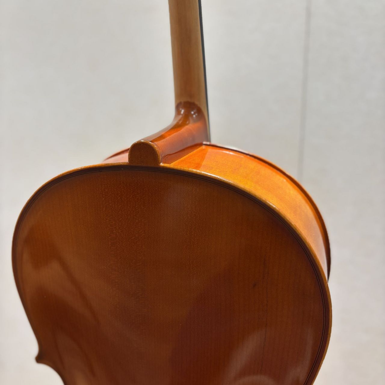 Andreas Eastman VC100 4/4 チェロ　イーストマン Eastman Eastman VC100 4/4 チェロセット イーストマン 【 名古屋
