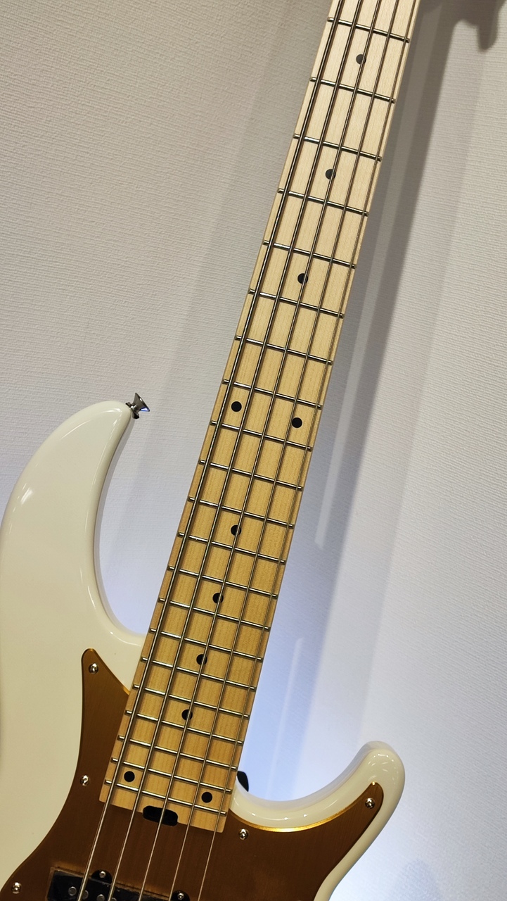 Aria Pro II RSB-618 5弦エレキベース RSB-618/5 - Aria Guitars - Electric, Acoustic, Classical