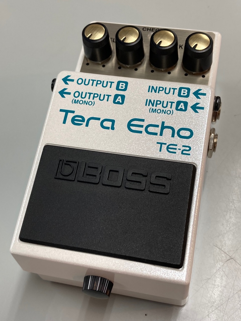 BOSS TE-2 Tera Echo（新品特価/送料無料）【楽器検索デジマート】