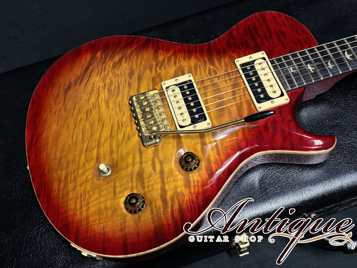 Paul Reed Smith(PRS) 20th Anniversary Artist Package
