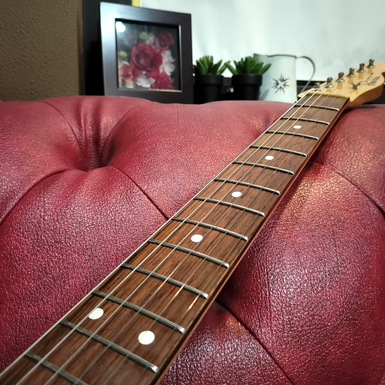 Provision VTE-J / ALD（中古）【楽器検索デジマート】