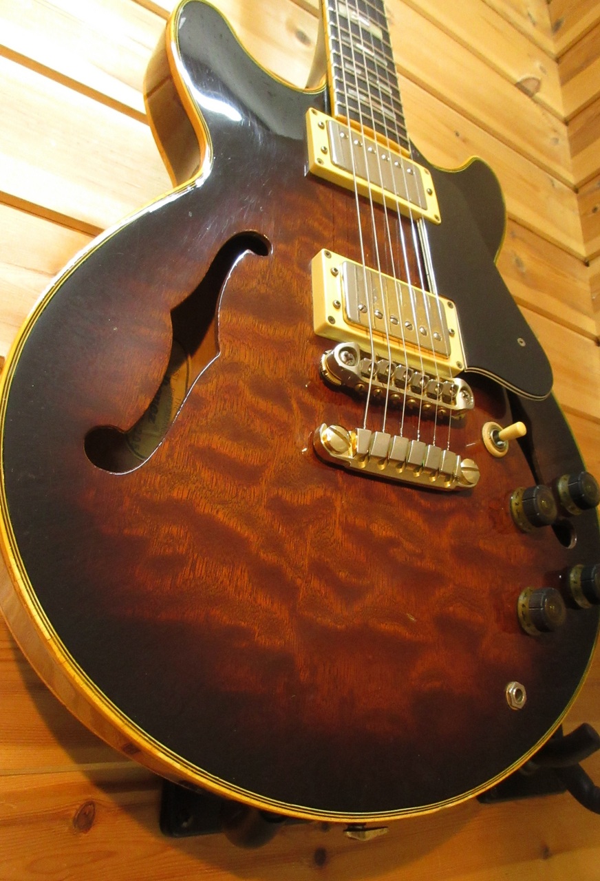 Ibanez AM-205【Made in Japan 1983年製】（ビンテージ）【楽器検索