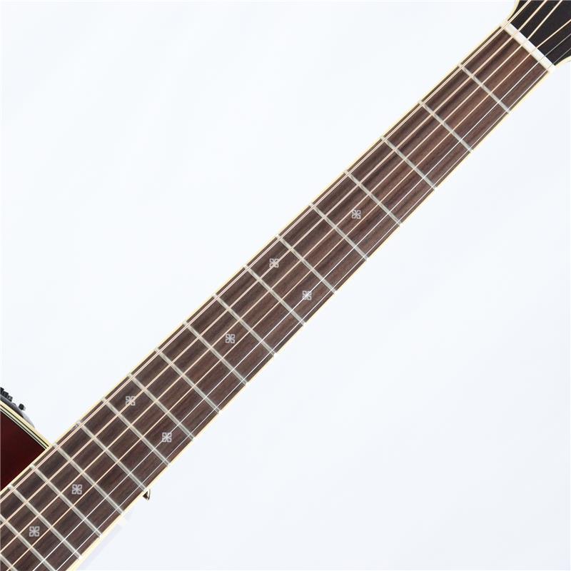 Takamine DMP551C WR タカミネ（新品）【楽器検索デジマート】