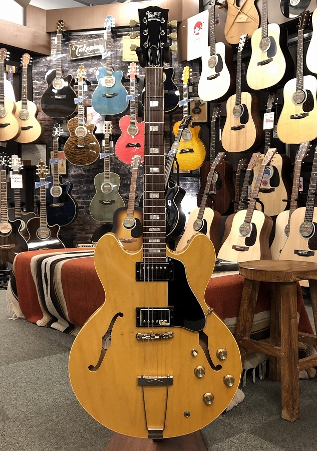 Archtop Tribute AT135TTP 【中古/ご委託品】【2017年代】（中古 