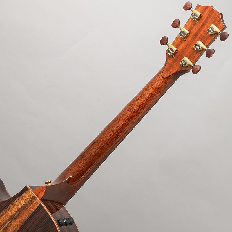 Taylor Custom GA Rosewood/Lutz Spruce [NAMM 2025 Model C14ce B5019