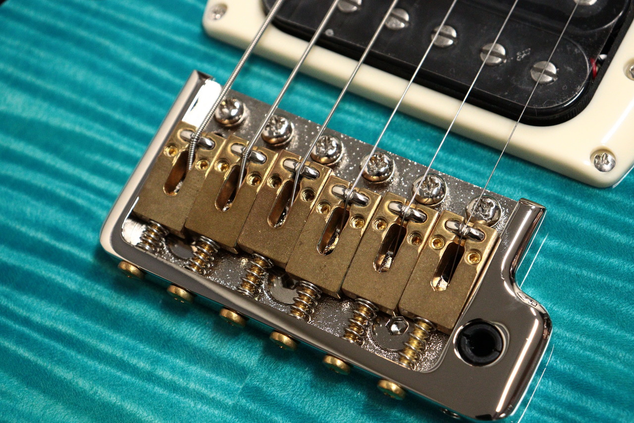 Paul Reed Smith(PRS) SE CUSTOM 24 SEMI-HOLLOW PIEZO Lake Blue 2026