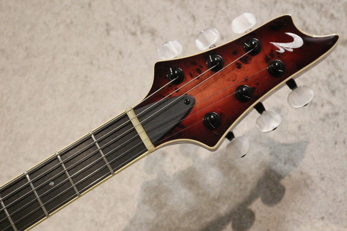 T's Guitars Arc-STD 22 Nether Red【3.43kg】【担当選定の極杢
