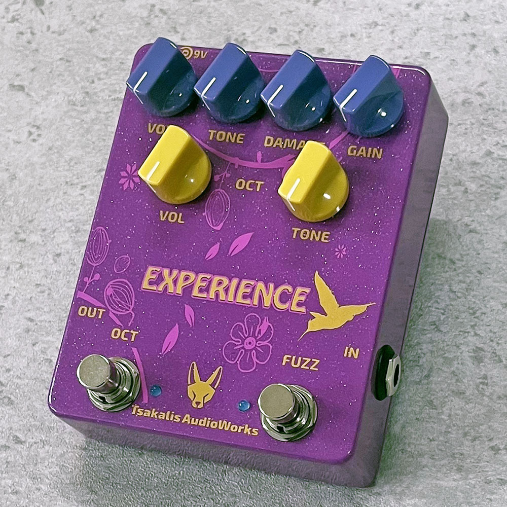 ラスベガス　デモサンプルディスク　激レア TSAKALIS AUDIO WORKS Experience 【月内最後のクリアランスセール!～5