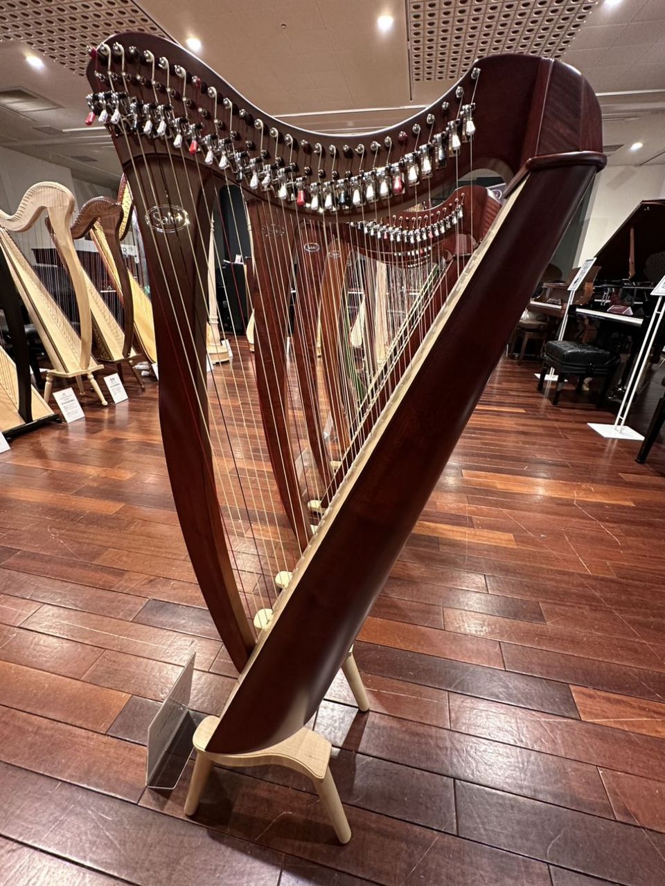 Salvi Harps JUNO27 ジュノ 27弦 (マホガニー) [リュック付属] 小型