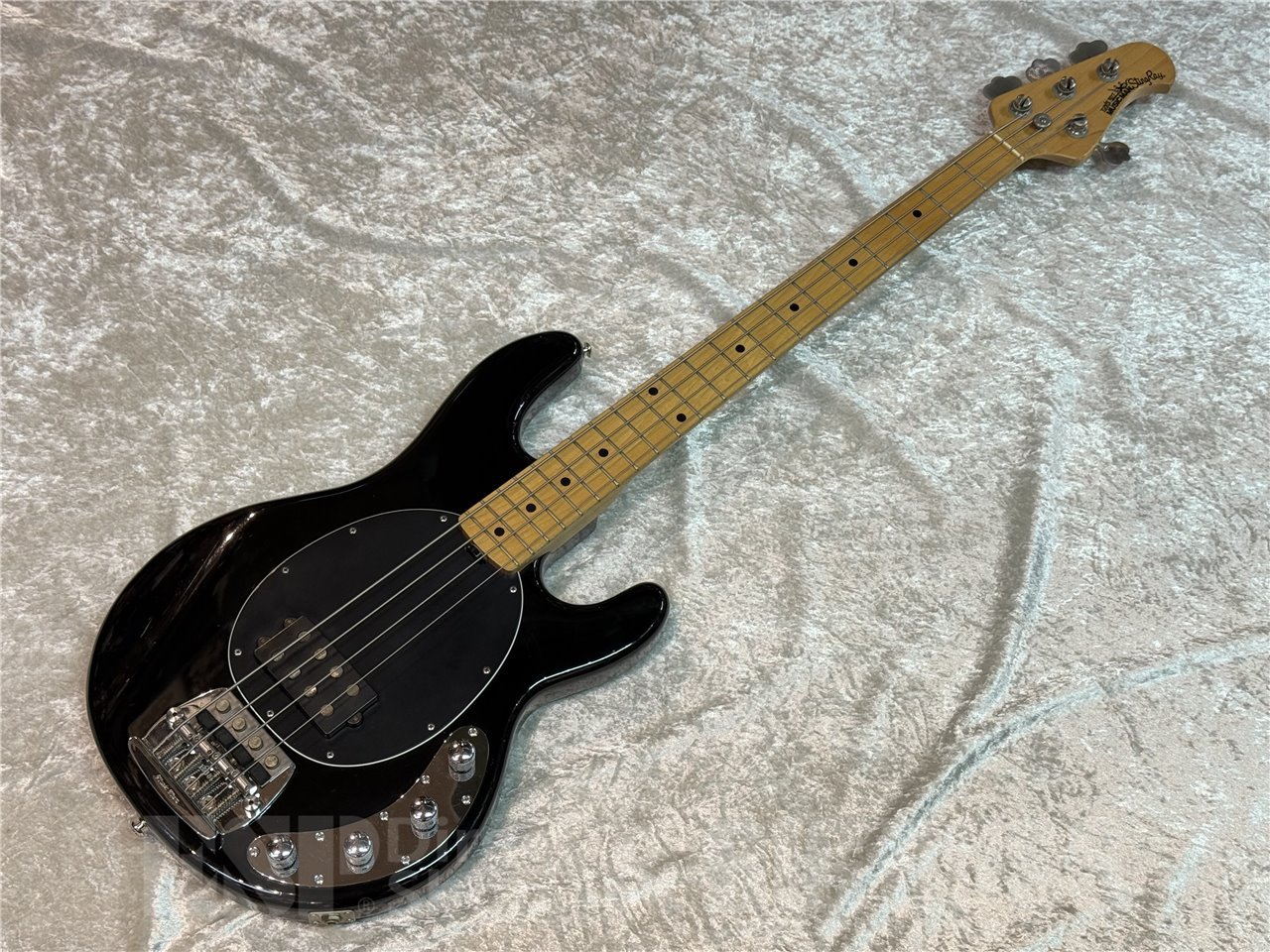 Music Man （ミュージックマン）StingRay EX MUSIC MAN Stingray EX Black <ミュージックマン>｜平野楽器 ロッキン