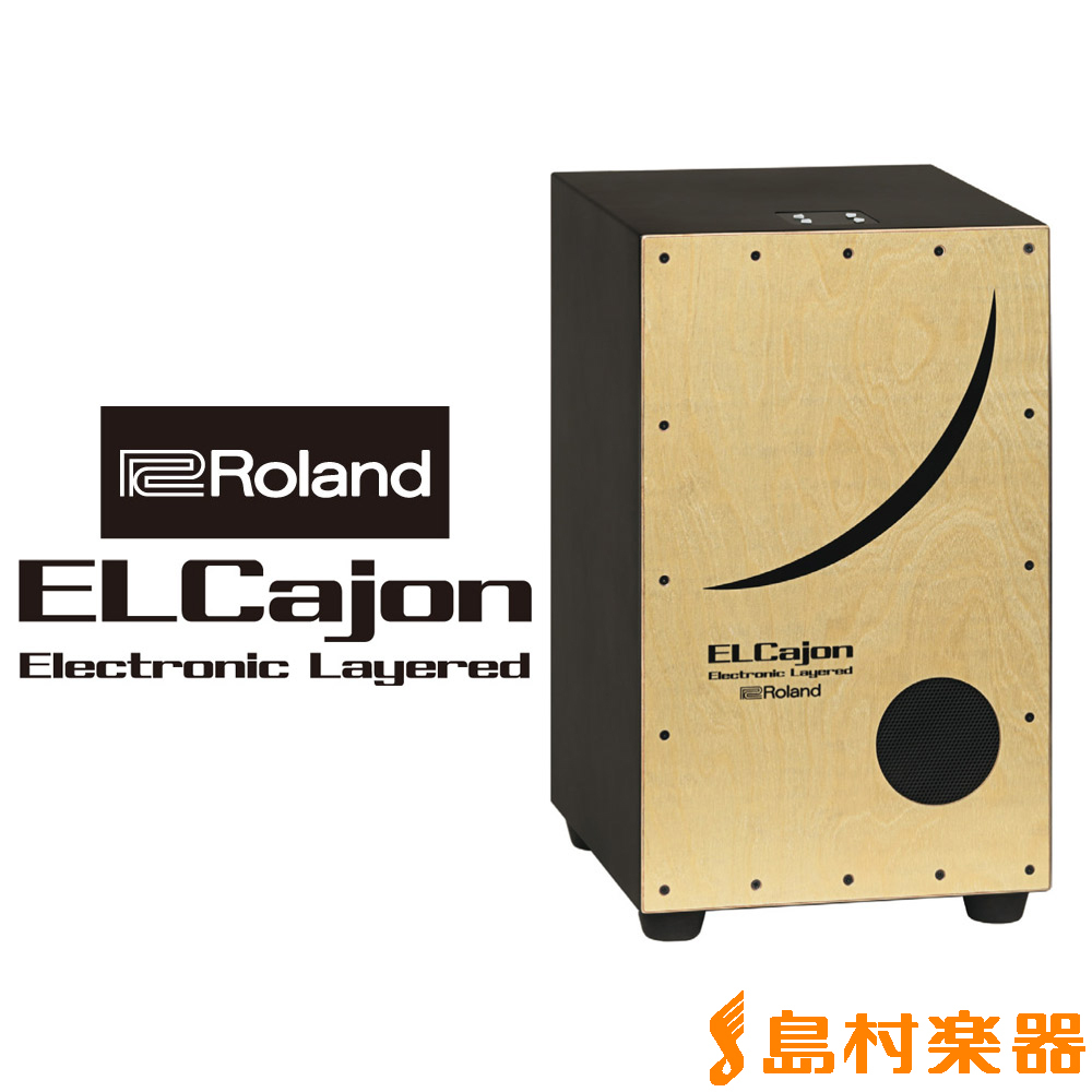 Roland Electronic Layered Cajon EC-10 エレクトロニック レイヤード カホン