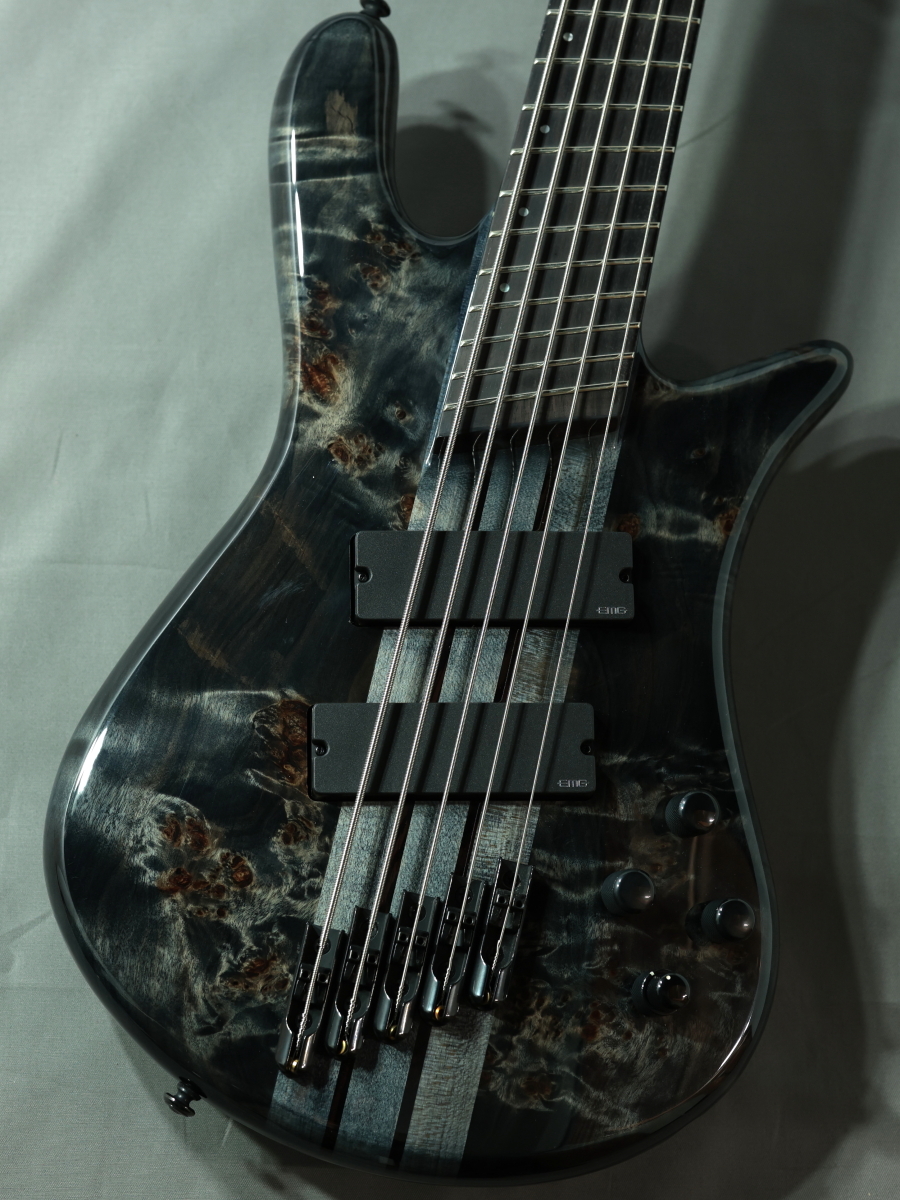 Spector NS Dimension MS 5 Gloss EE Translucent Black【5弦 
