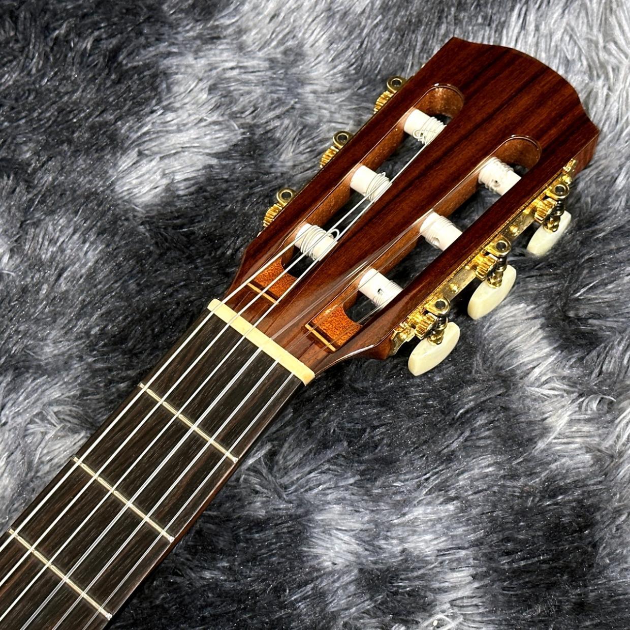 K.Yairi CE-3 NS -Nylon Electric Series-（新品/送料無料）【楽器検索