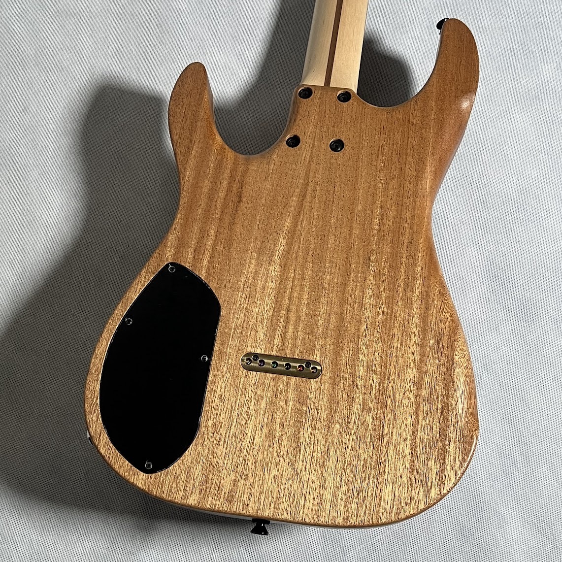 dragonfly SOTTILE CUSTOM 666 Slab Body（新品特価/送料無料）【楽器 