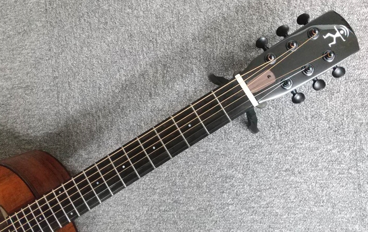 aNueNue Bird Guitar Series Solid Koa Top / aNN-M32 ・アヌエヌエ コンパクトギター コアトップ /アカシアボディ（新品特価）【楽器検索デジマート】