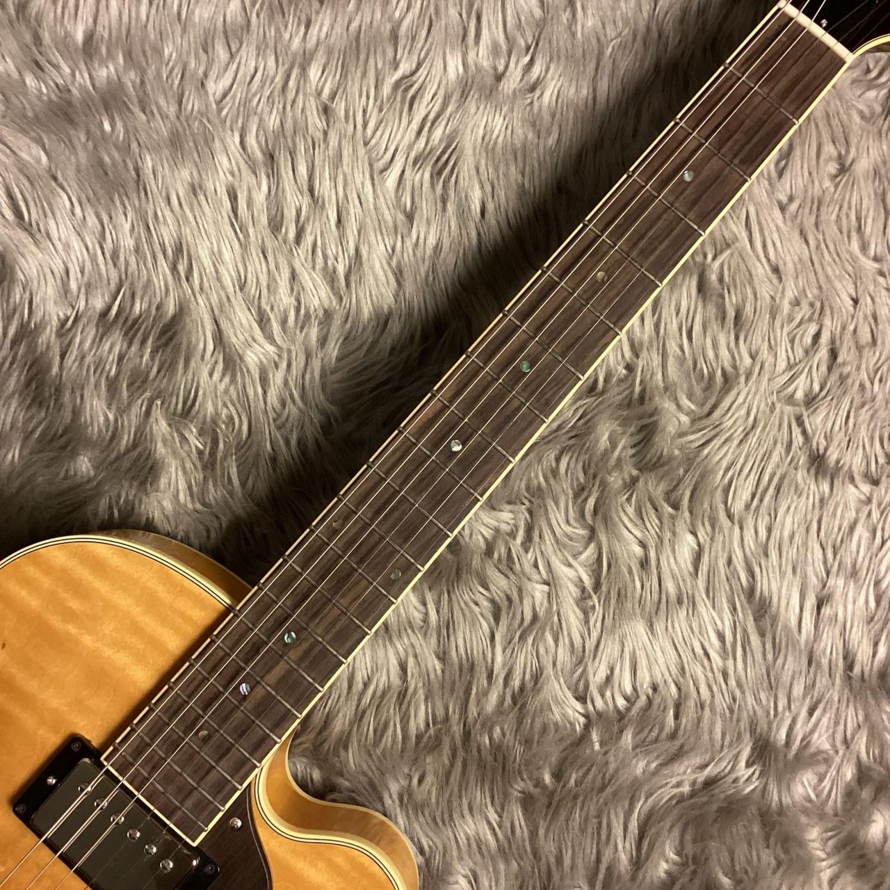 Rozeo Ladybug Ladybug-CB HB/SS/Vintage Amber【中古品】【現物画像