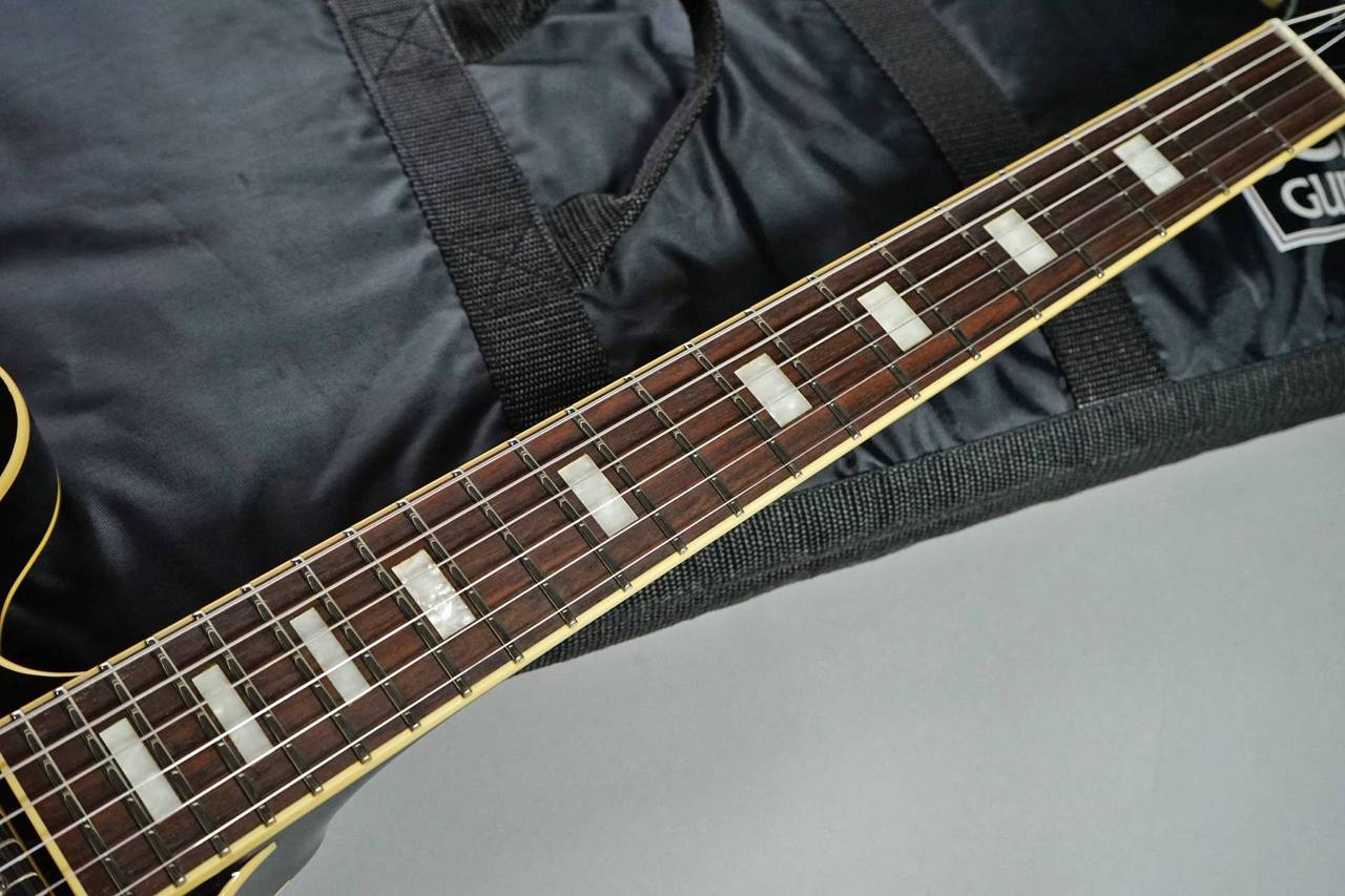 期間限定値下げ SCHECTER L-ES-STD-60/R セミアコ SCHECTER L-ES-STD-60/R Black【アウトレット品】（B級特価/送料無料