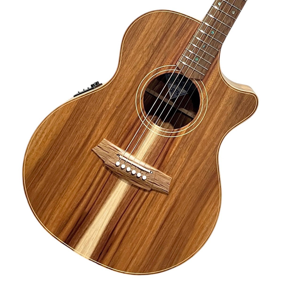 Cole Clark Touring Series CCAN2EC-BLBL 2 Grade All Blackwood