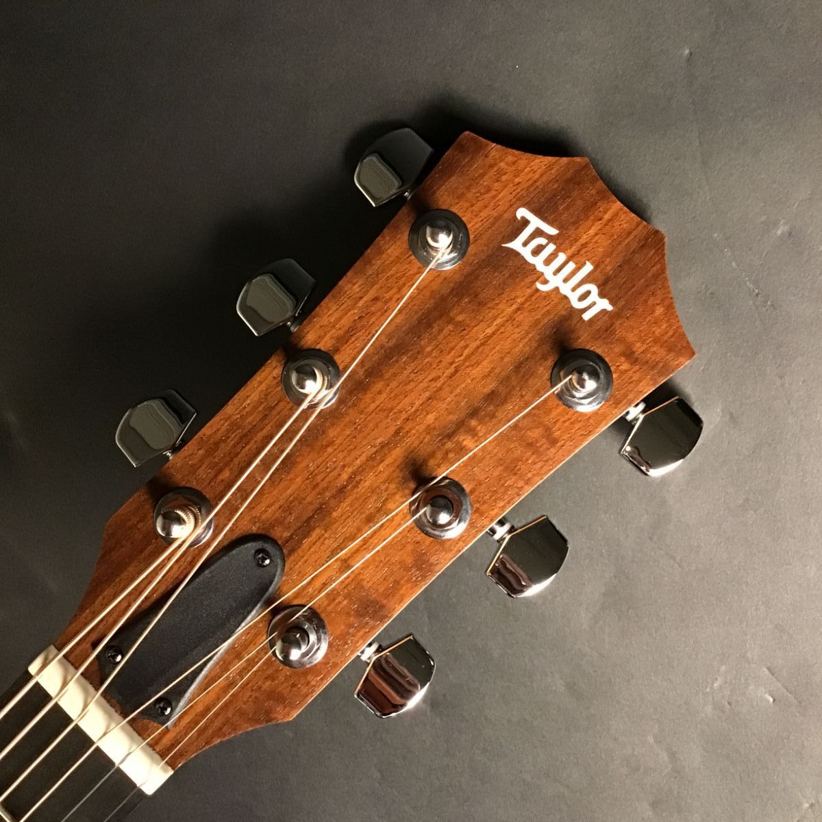 Taylor Academy 10e（新品/送料無料）【楽器検索デジマート】